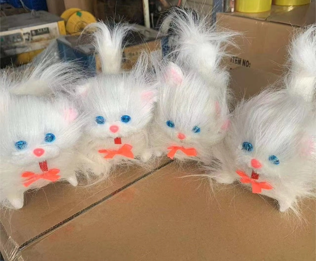 Cute Parsian Cat